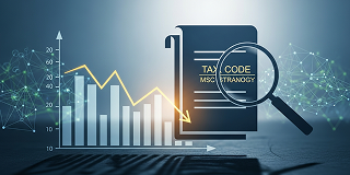 MS法人を活用したタックスプランニングによる税金コスト最適化支援